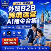 电商新手入门到精通，外贸B2B跨境运营Ai指令合集